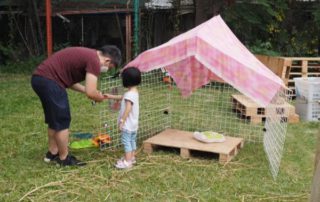 花瓣世界：配合紙皮小屋、白色格仔網等材料，建造花瓣小屋，投入想像遊戲